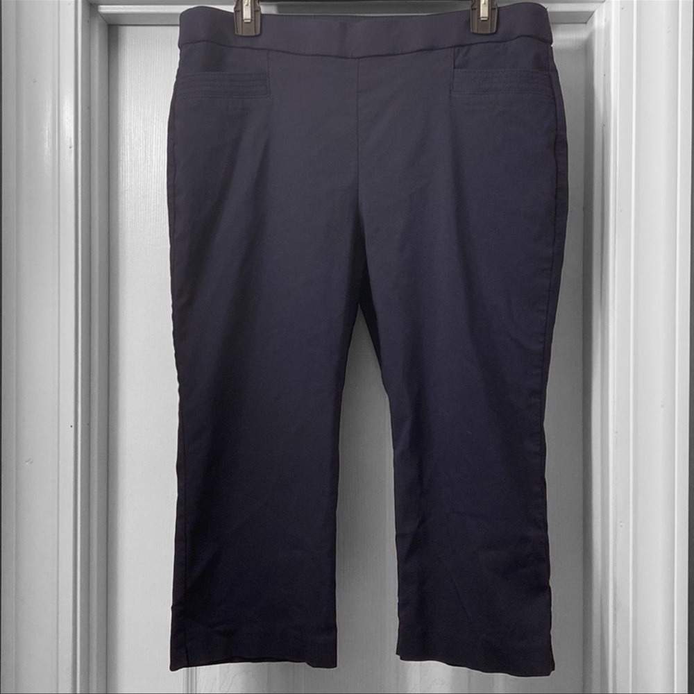 Prophecy Navy Pull-on Crop Pants